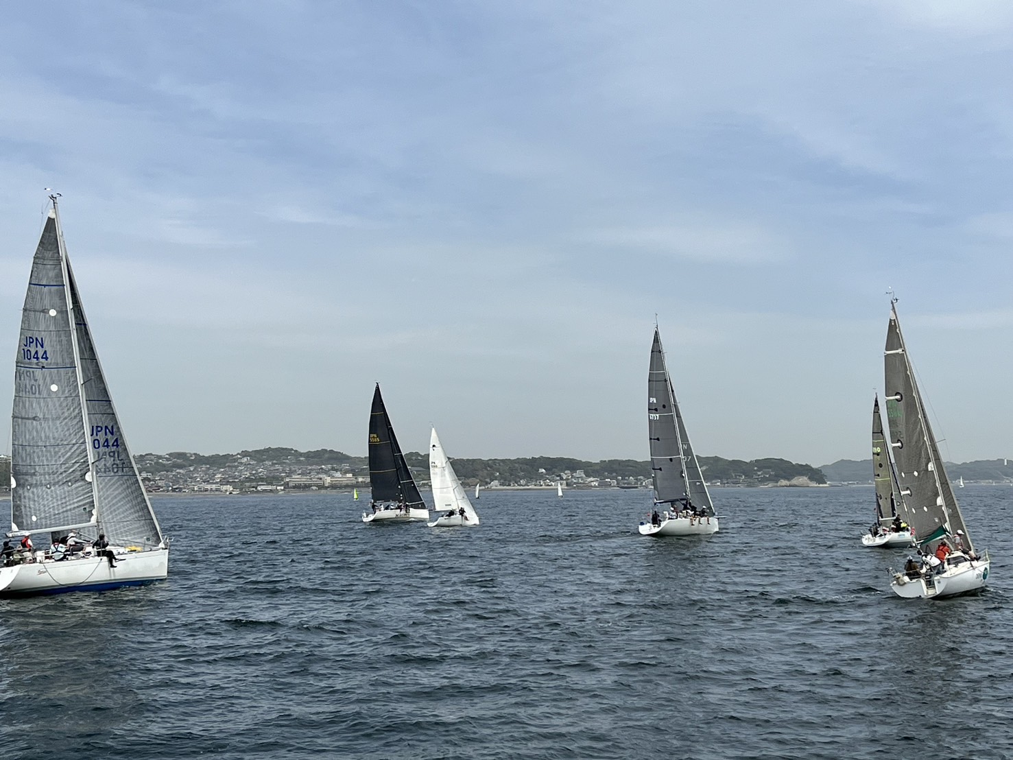 ヨットレースの様子