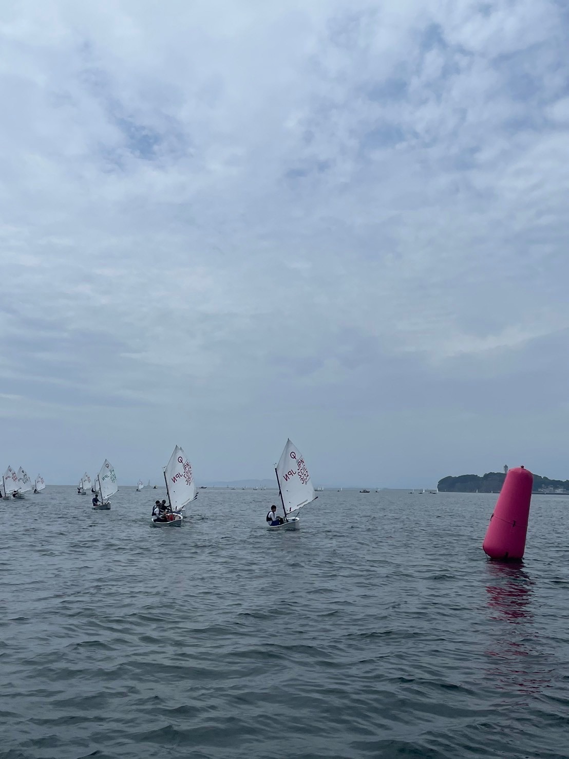 ヨットレースの様子